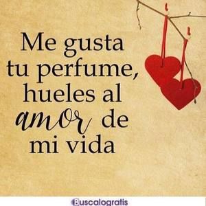 Meet your Posher, Bennyy